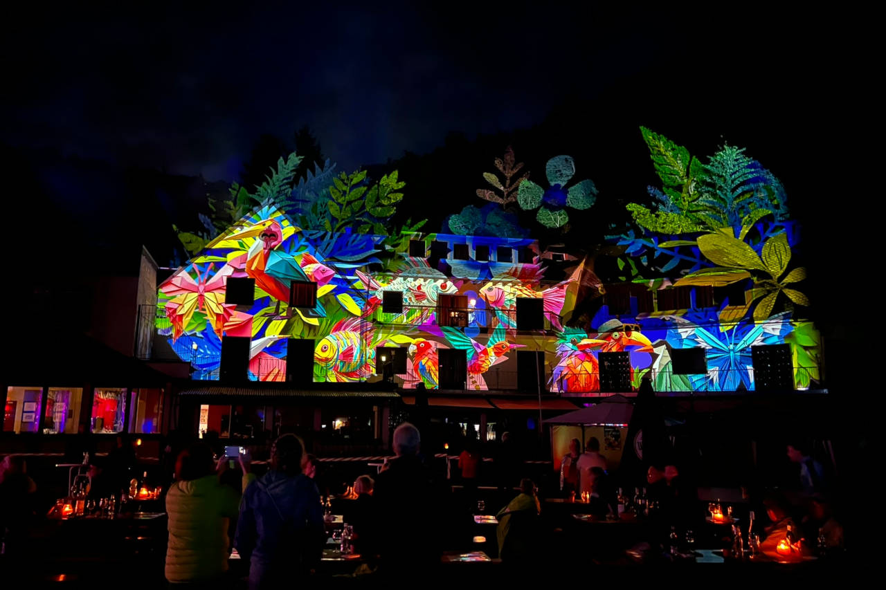 Elztalfestival Brückenmühle 2024