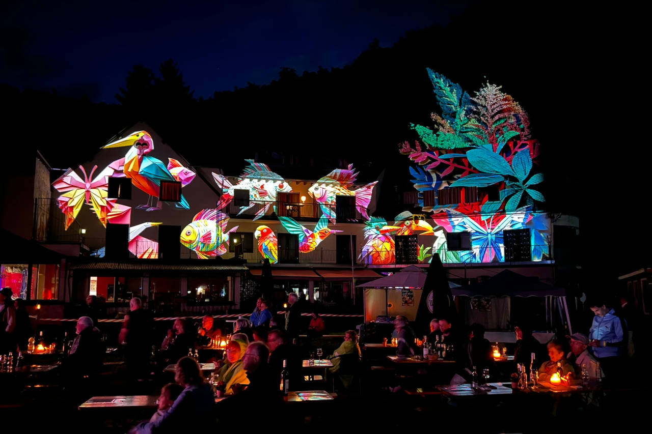 Elztalfestival Brückenmühle 2024