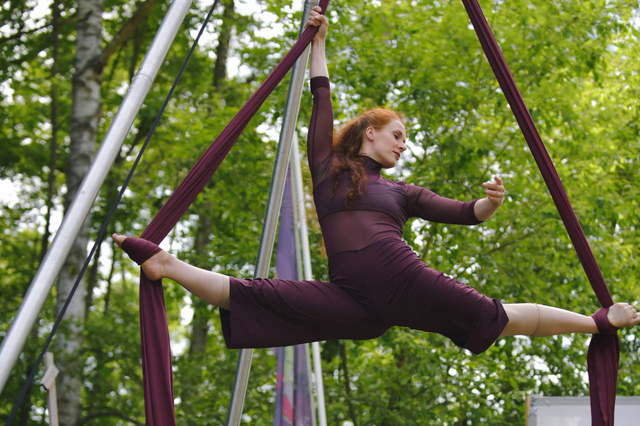 Elztalfestival Brückenmühle 2024